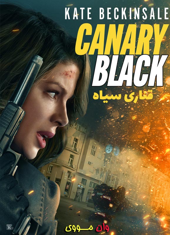 قناری سیاه Canary Black